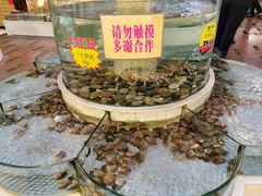 -龙宝轩(坦洲店)