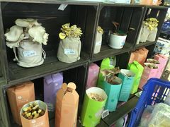 -盒马鲜生(大成店)