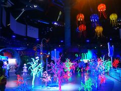 上海欢乐谷-上海欢乐谷