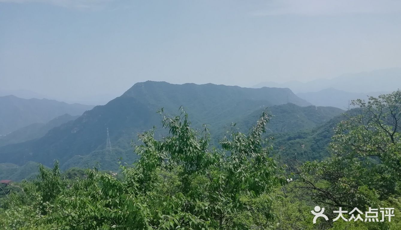 大岭沟猕猴桃谷