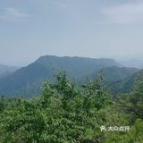 大岭沟猕猴桃谷