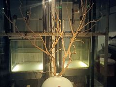 -穹六人间 people 6(岳阳路店)