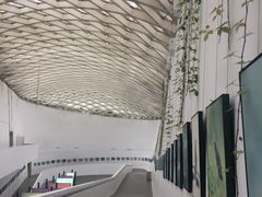 -中国湿地博物馆