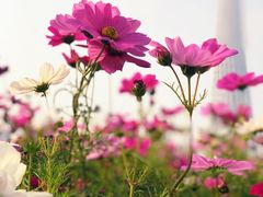 -海心沙亚运公园