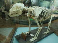 -陕西自然博物馆