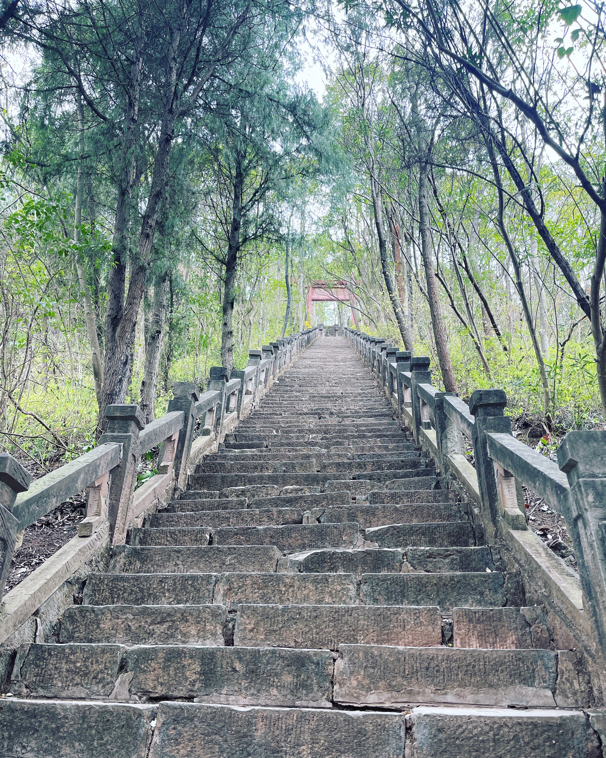 瑞安云顶山风景区图片图片