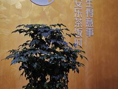 -安乐茶饭·手工素菜·高空景观餐厅(千灯湖店)