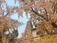 -北京石刻艺术博物馆(五塔寺)