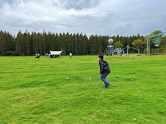 -黄海国家森林公园