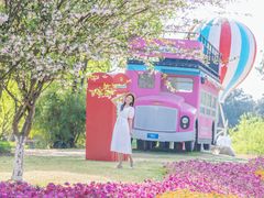 -铁山坪森林公园