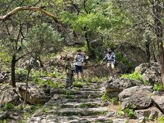 -大觉寺-停车场