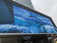 -太平洋数码广场