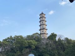-江心屿景区