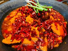 -四小区火锅·巷子里的重庆火锅(花照壁店)