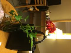 维景国际大酒店-南京维景国际大酒店(南京博物院店)