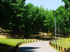 -马家湾湿地公园