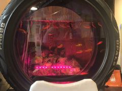 -卧龙堡客栈·中餐厅(古北水镇店)