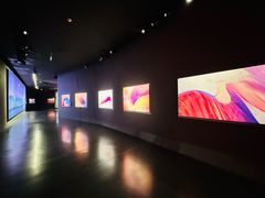 -罗红摄影艺术馆