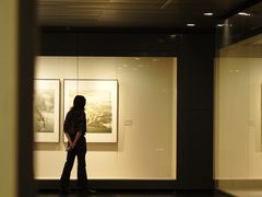 -江苏省美术馆(长江路新馆)