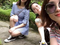 -深圳仙湖植物园-停车场