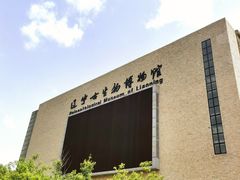 -辽宁古生物博物馆