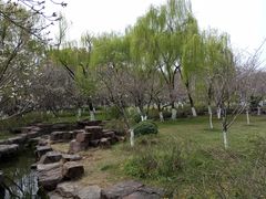 -范蠡湖公园