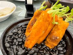 -丁老爷子苏香圆