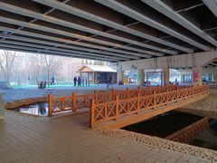 -长白岛森林公园