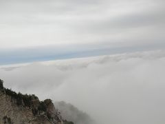 -王顺山国家森林公园