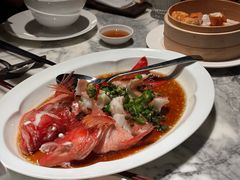 东星斑-遇外滩(BFC外滩金融中心店)