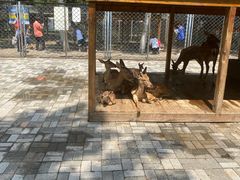 -长白岛森林公园