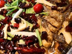 老板恋上鱼-老板恋上鱼(环山路店)