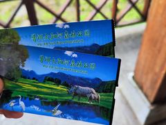 门票-普洱太阳河森林公园