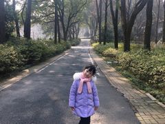 -东湖磨山景区