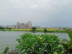 -顺德了能馆(虎门店)