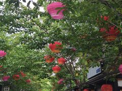 -回龙窝历史文化街区