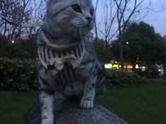 -宠颐生斯嘉宠物医院·急重症·心内科(谷阳北路分院)