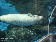 -上海海洋水族馆