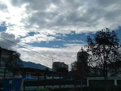 -四川农业大学(雅安校区)