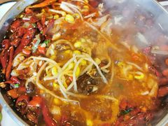 麻辣百叶毛肚-老湖南湘土菜馆(普阳街店)