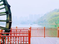 -重庆彩云湖湿地公园