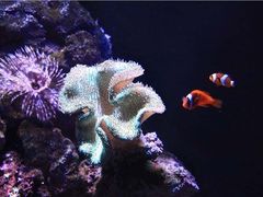 -成都浩海立方海洋公园