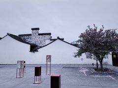 -青果巷历史文化街区