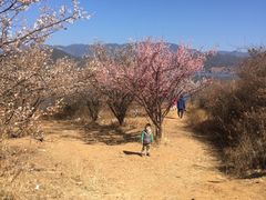 -泸沽湖国家级风景名胜区走婚桥