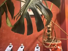 -安妮意大利餐厅(丽都店)