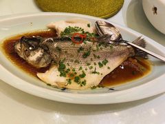 葱花鲈鱼-梦都海鲜酒家(万达广场江桥店)