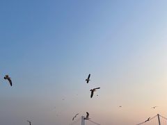 -大连君悦酒店