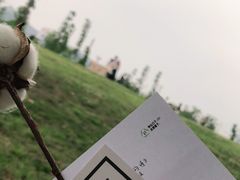 -桂溪生态公园