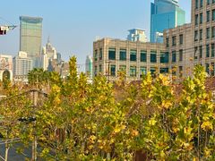 -上海市静安区图书馆(新闸路馆)