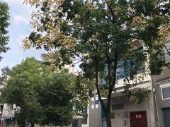 -柯达数码影像(淮海路店)